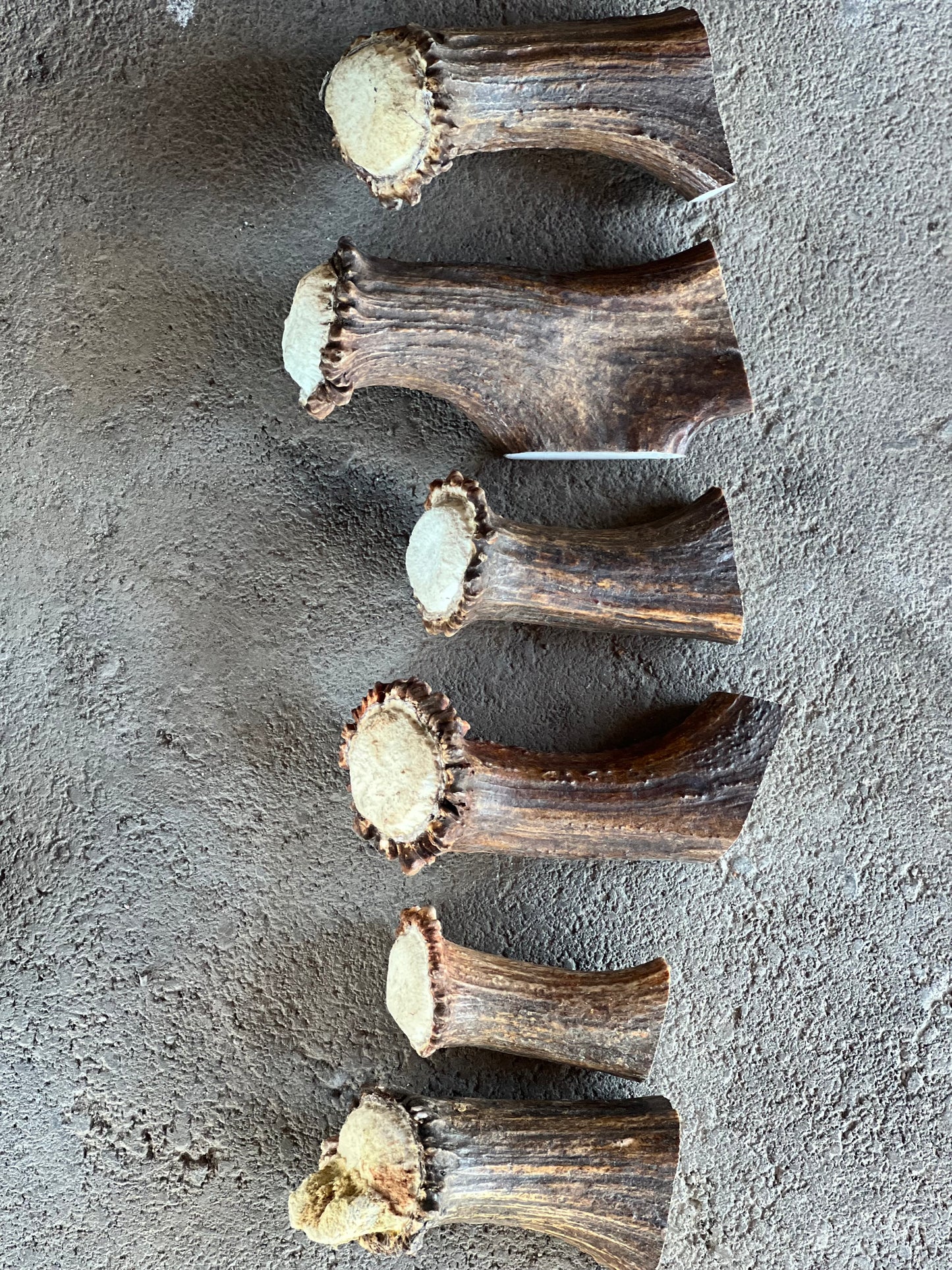 Moose Paddle Base