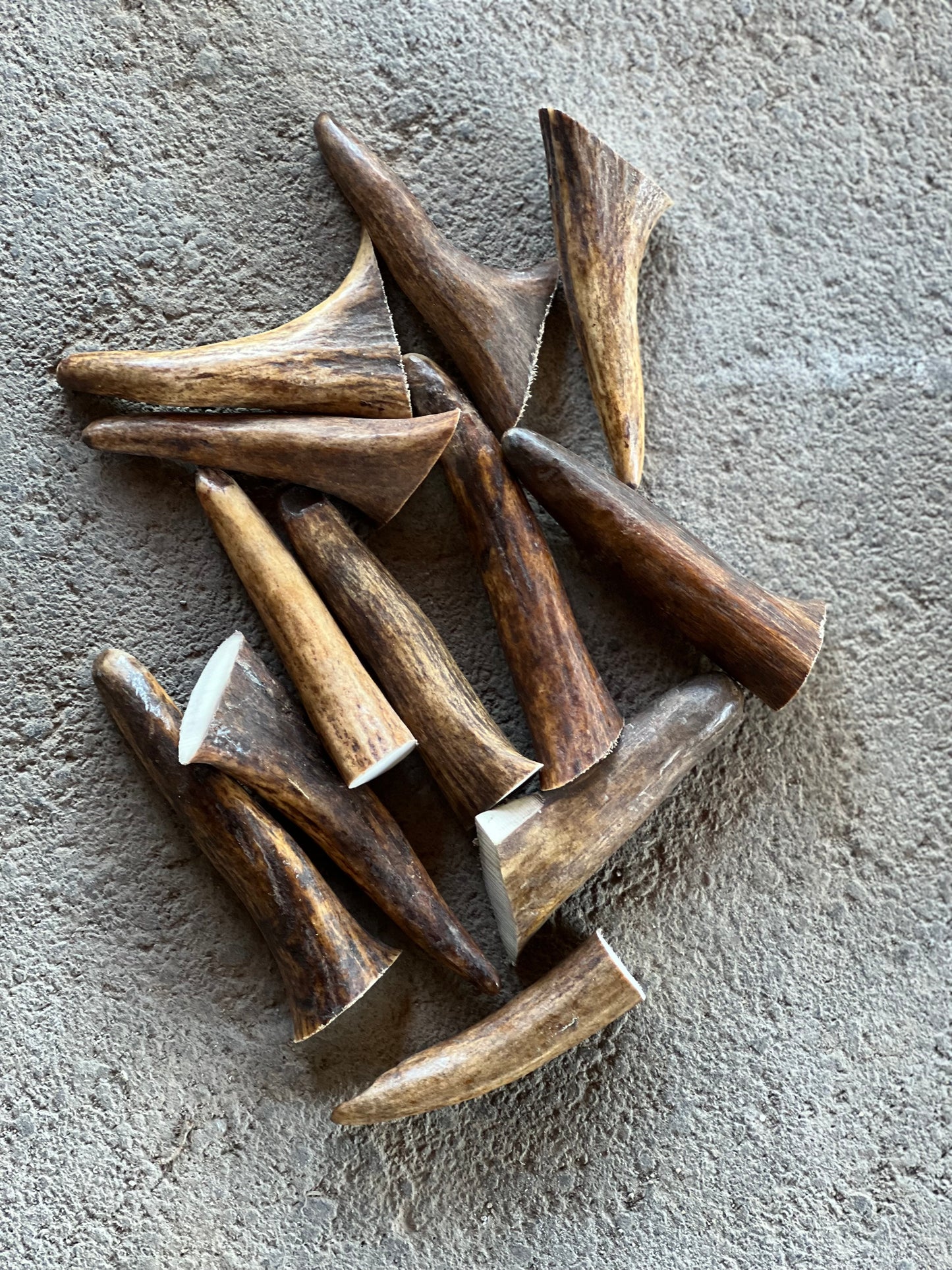 Small Moose Tines