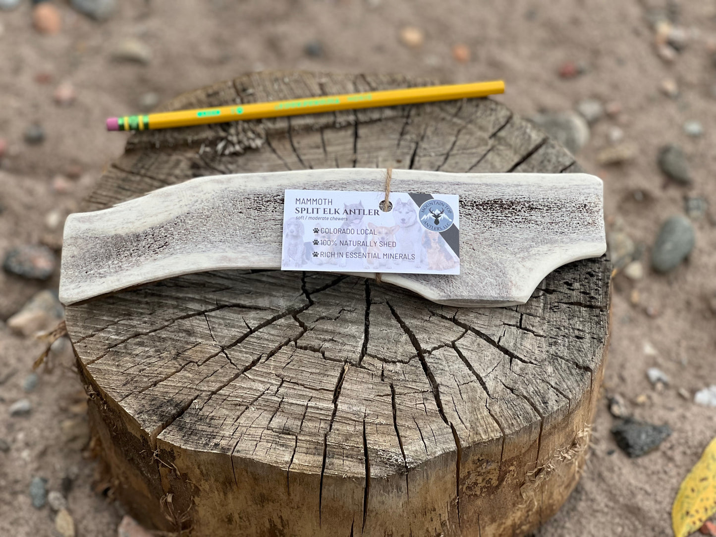 Mammoth Split